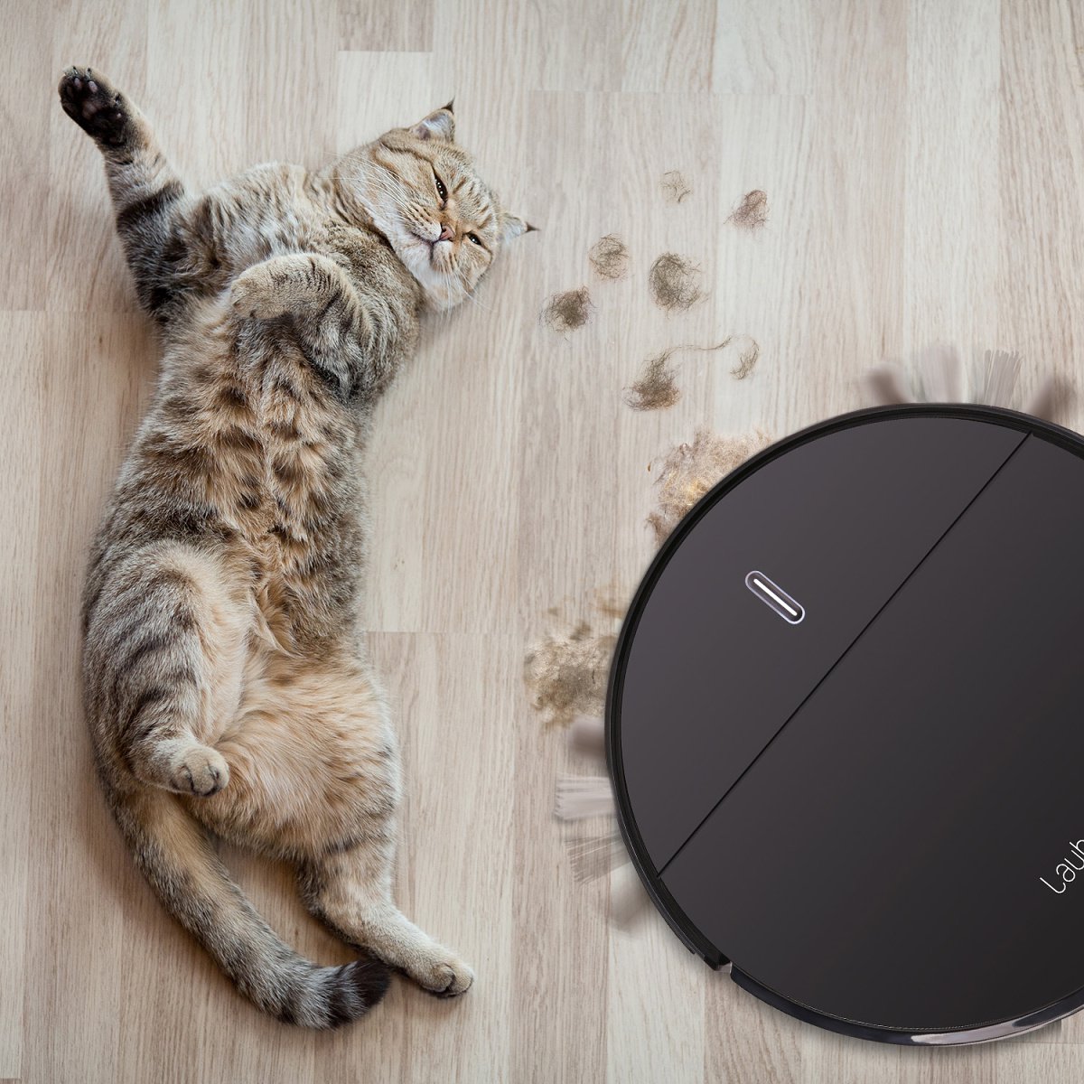 Lauben Robot Vacuum 15BB Pet