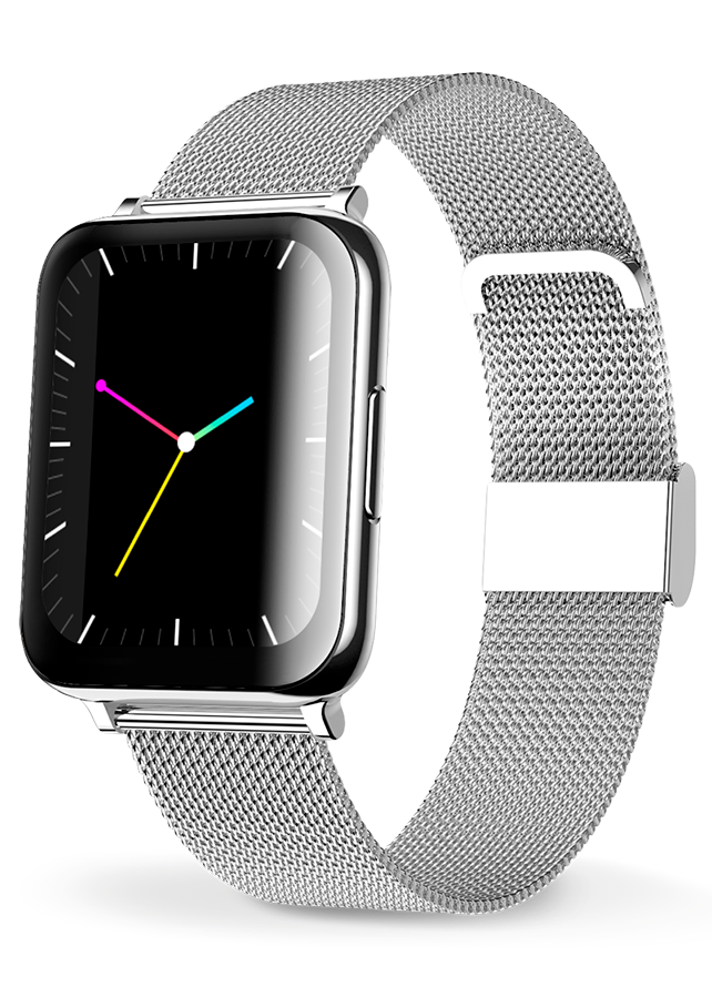 Aligator Watch Life strieborná